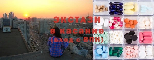 шишки Ельня