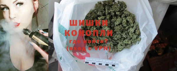 гашик Елизово