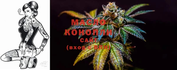 гашик Елизово