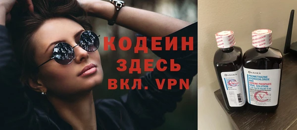 гашик Елизово