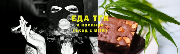 шишки Ельня
