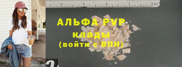 шишки Ельня