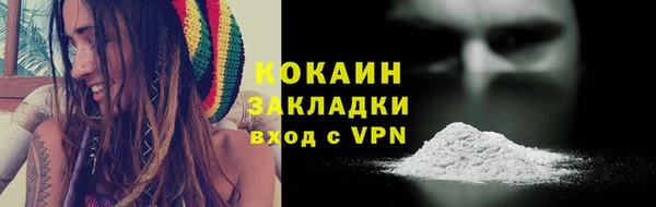шишки Ельня
