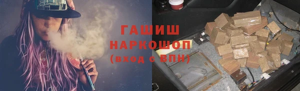 шишки Ельня