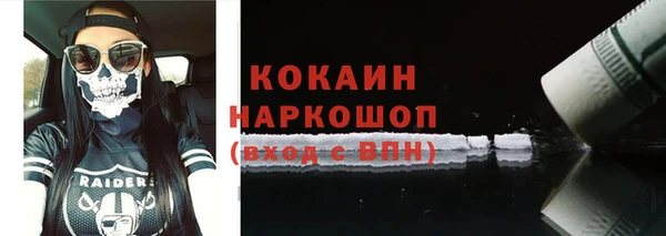 шишки Ельня
