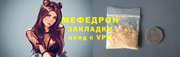 шишки Ельня