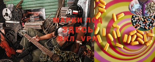 шишки Ельня