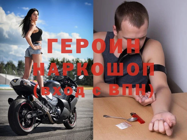 шишки Ельня