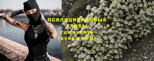 гашик Елизово