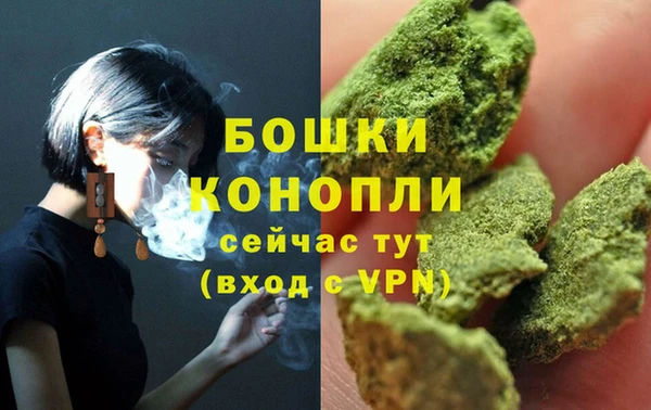 гашик Елизово
