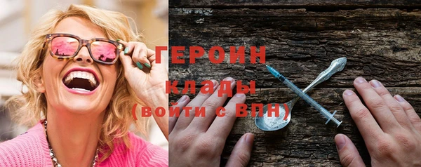 шишки Ельня