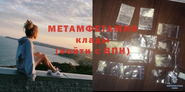 шишки Ельня