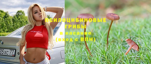 шишки Ельня