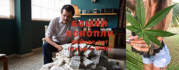 шишки Ельня