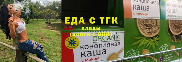 шишки Ельня